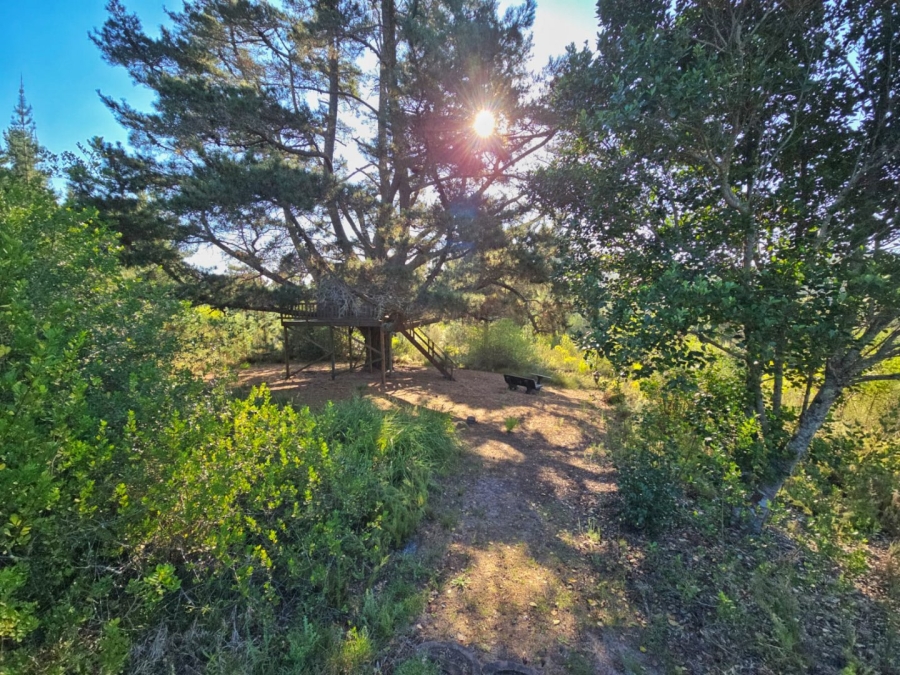 Commercial Property for Sale in Sedgefield Rural Western Cape